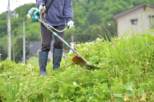 にかほ市で草刈りに最適な年3回の時期～楽に草刈りを終えるコツまで徹底解説